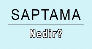 saptama nedir